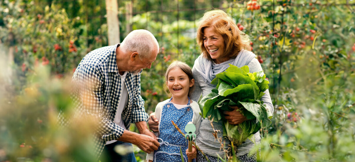Is osteoporosis genetic?