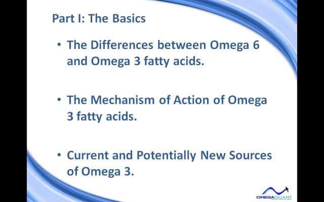 The Basics of Omega 3 Fatty Acids