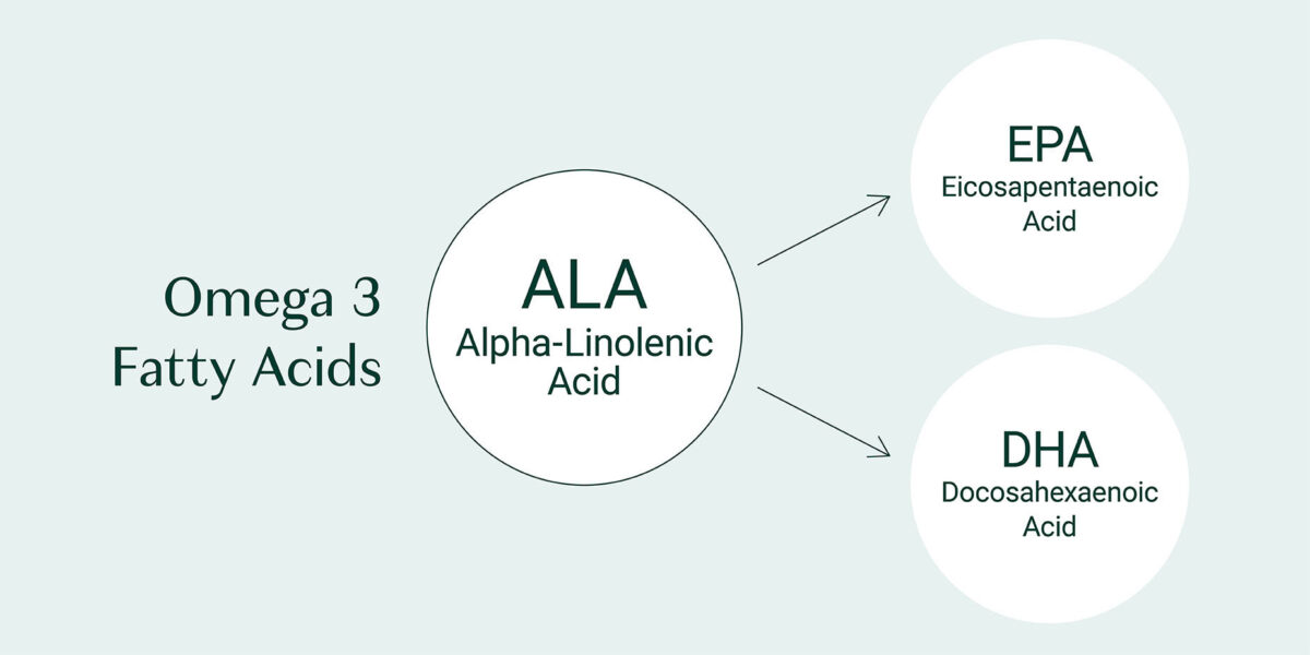 Omega 3 levels testing