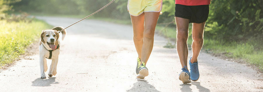 Can exercise alone increase BMD?