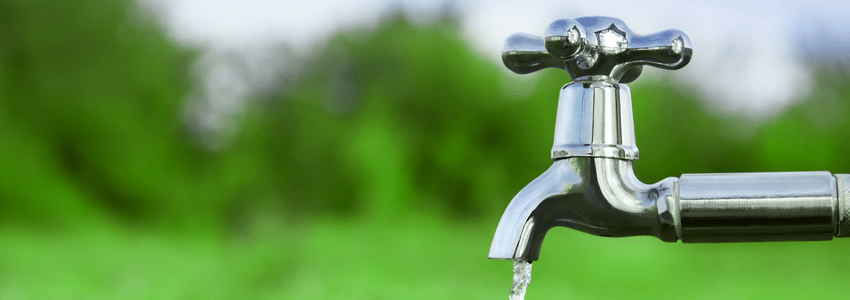 Fluoride and Bone Health