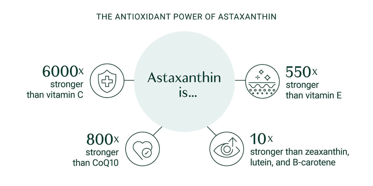 astaxanthin antioxidant