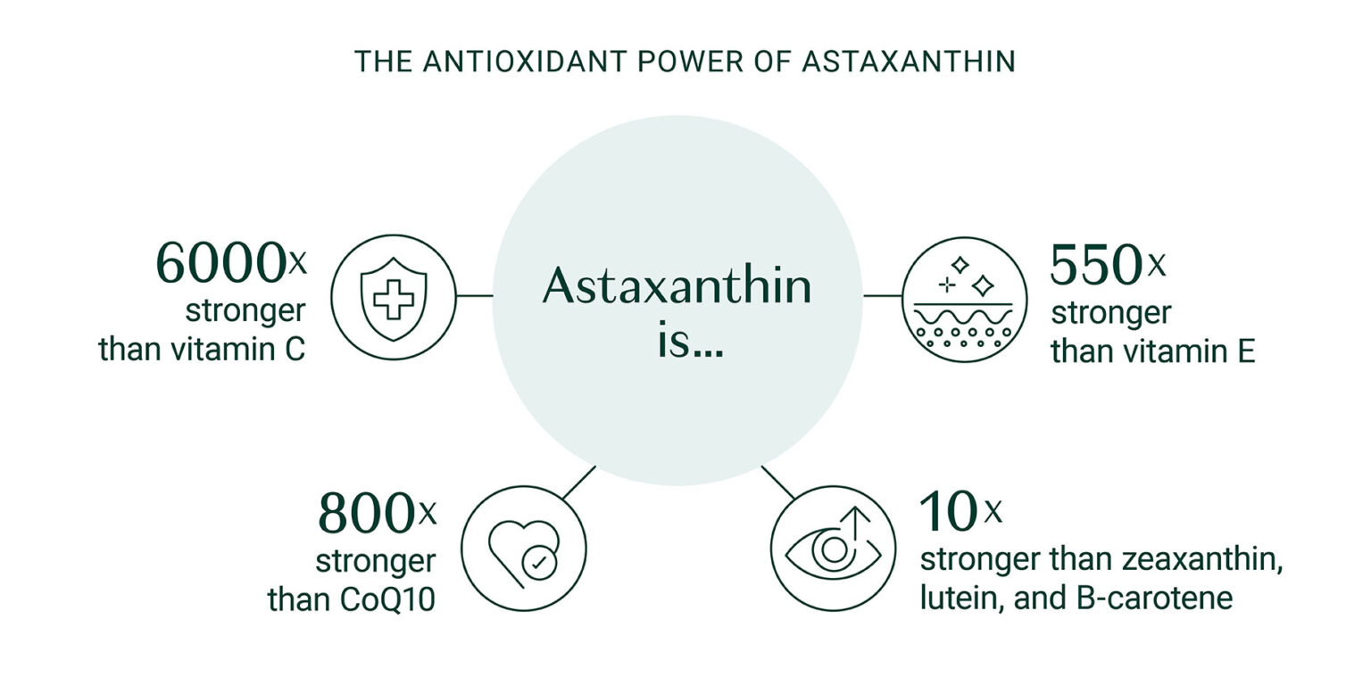 What is Astaxanthin? Benefits, Dosage and More! AlgaeCal