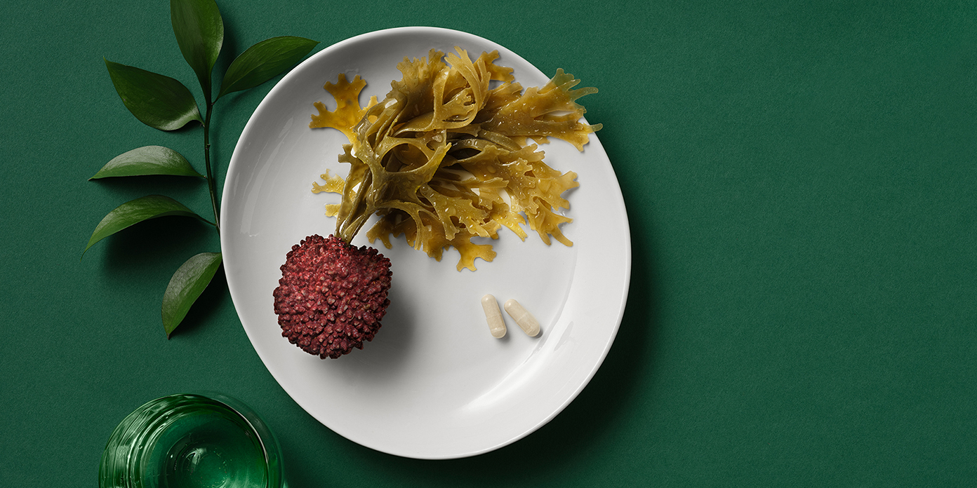 What You Need to Know About Calcium Absorption AlgaeCal