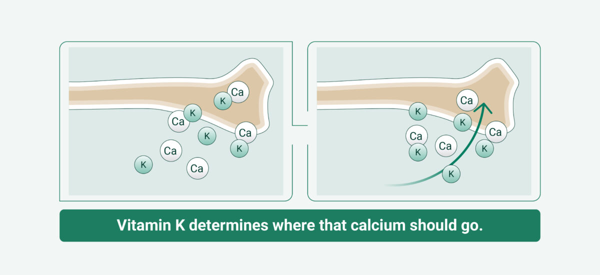 vitamin k2 helping calcium enter the bone