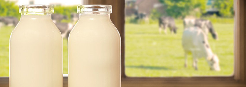 Raw vs. Pasteurized Milk - Nutrition With Judy