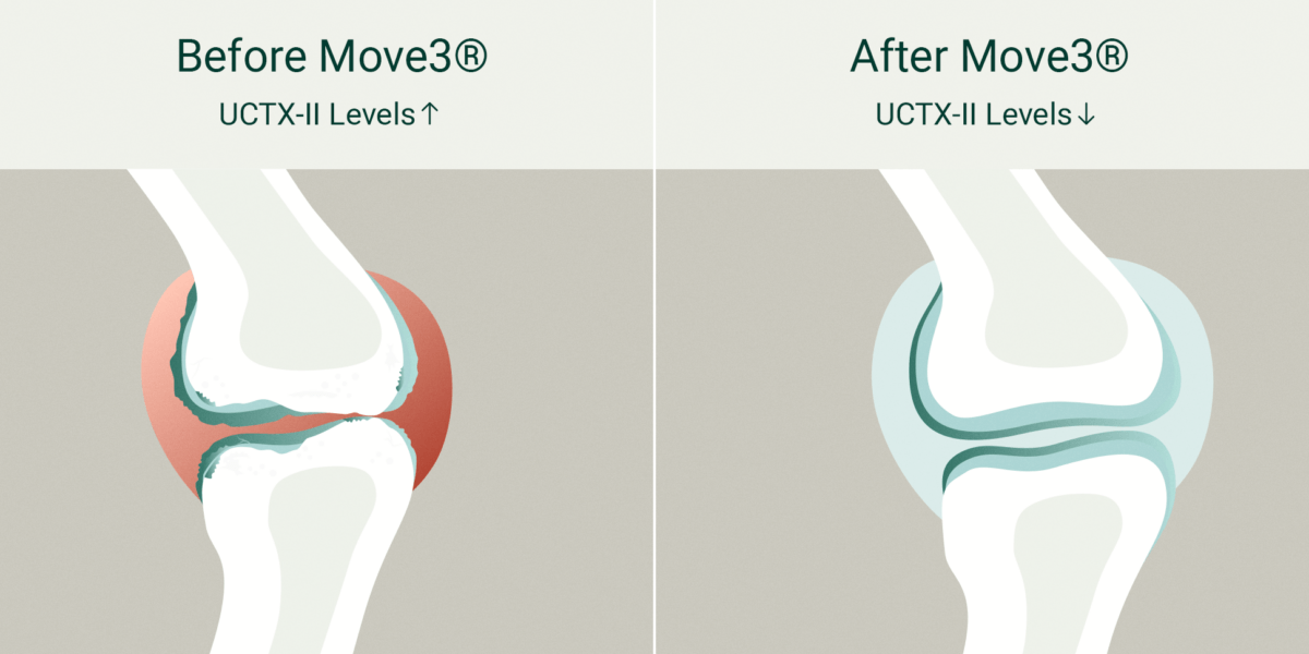Move3 joint improvement comparison