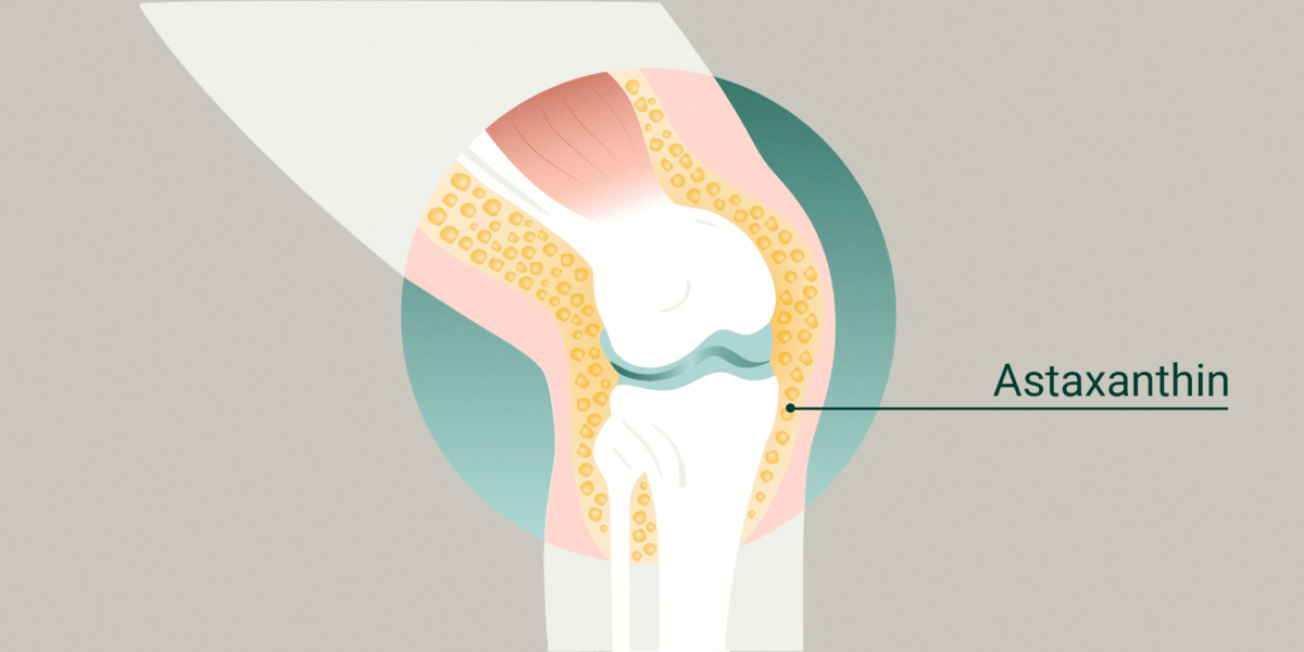 Astaxanthin in knee joint