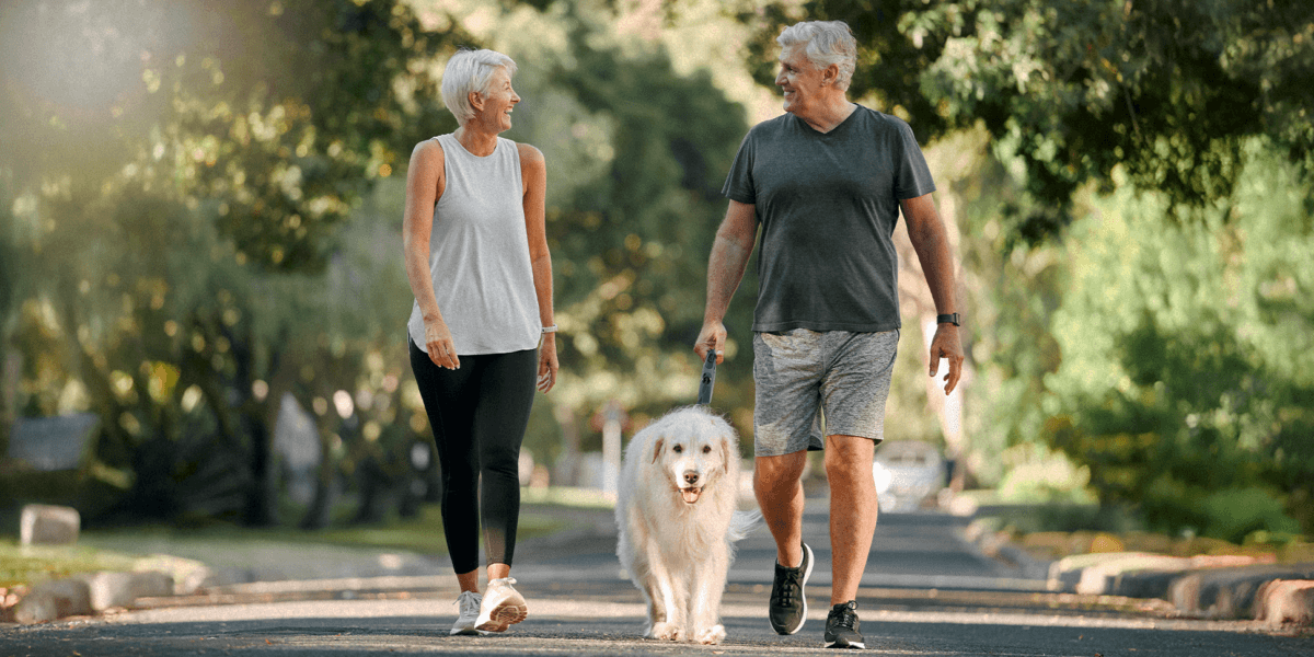 Senior couple walking a large white dog outdoors.