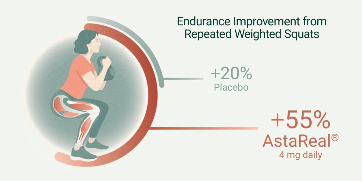 Diagram illustrating endurance improvement from squats, showing a 20% gain for placebo compared to 55% for 4 mg daily AstaReal.