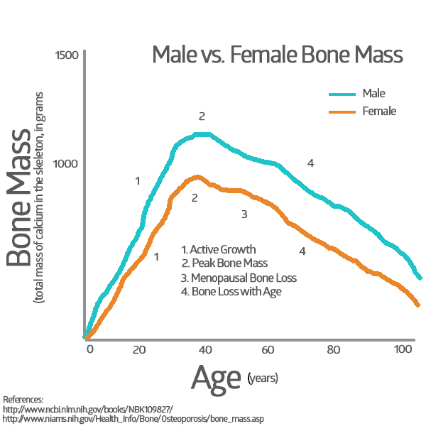 Osteoporosis in Women - Male vs. Female Osteo