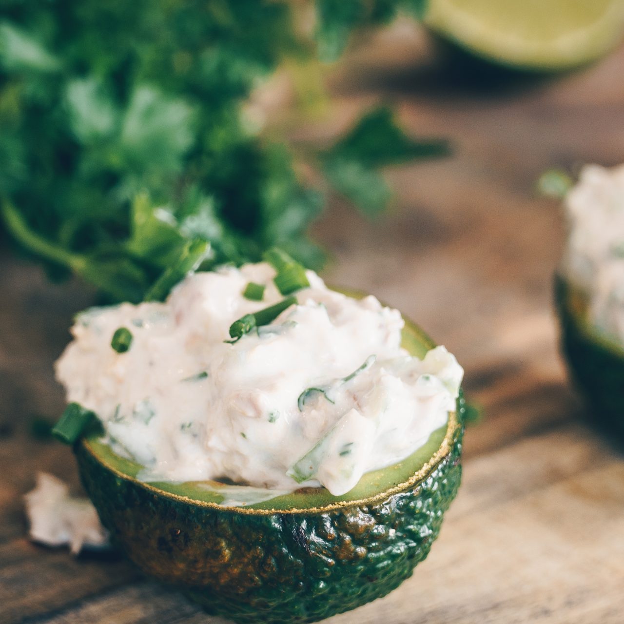 Salmon Stuffed Avocados Algaecal