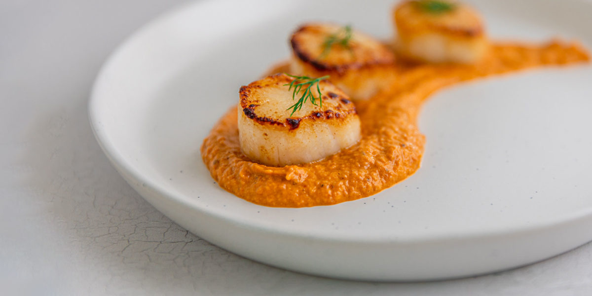 Seared scallops with soubise sauce