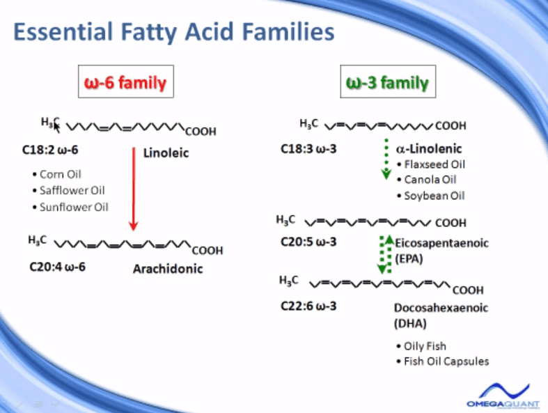 Essential Fatty Acid Families