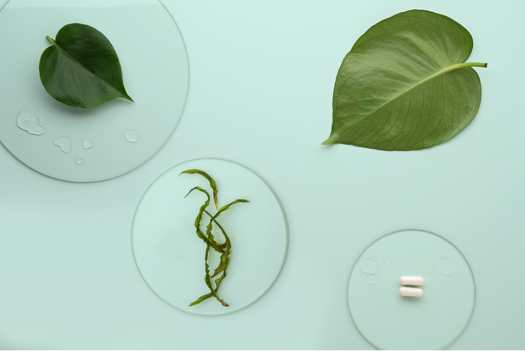 Supplement and leaf