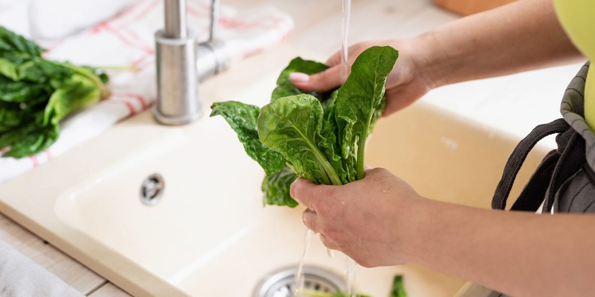 Spinach being washed
