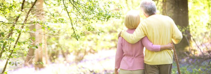 Primary Osteoporosis