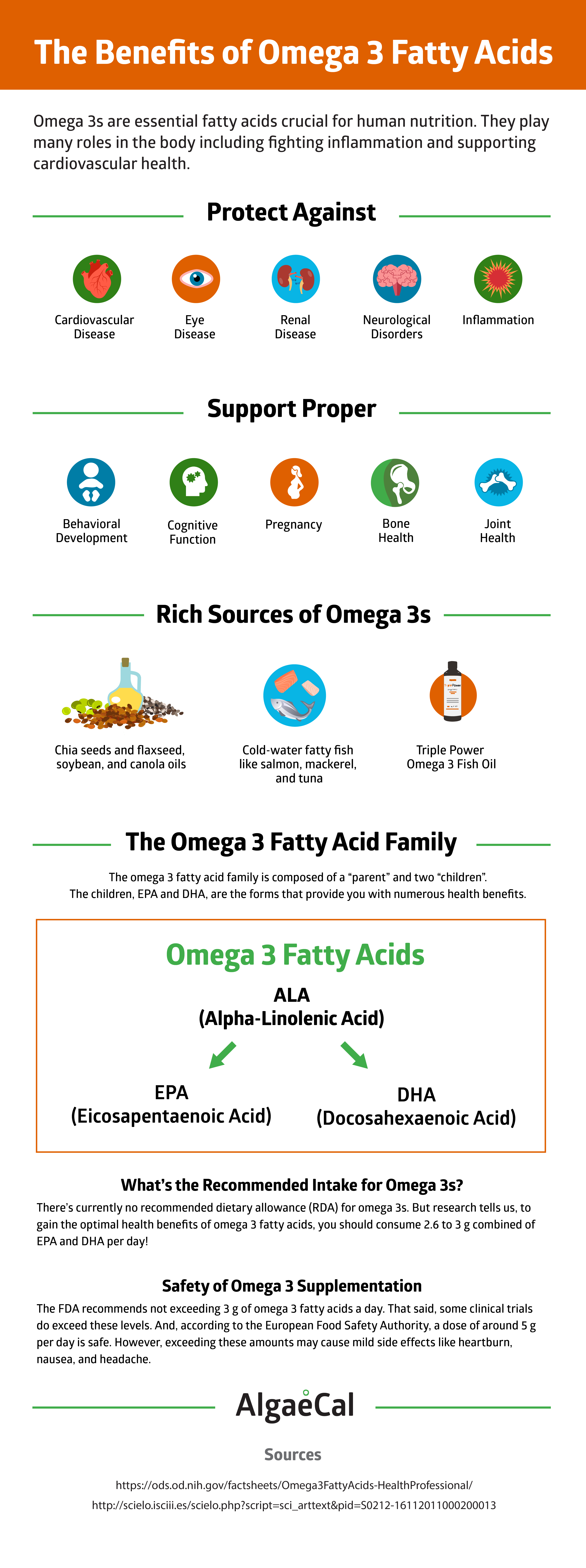 The Benefits of Omega 3 Fatty Acids Infographic