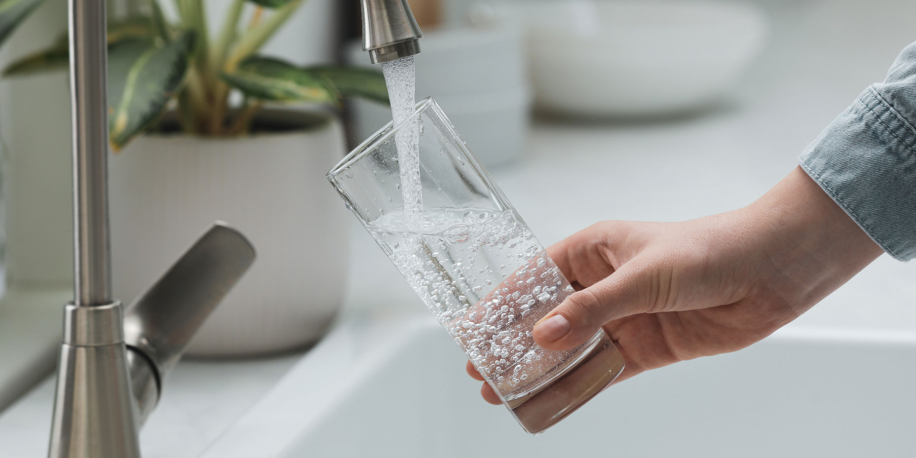 Why Trace Minerals Are Important (and why we're not getting enough)