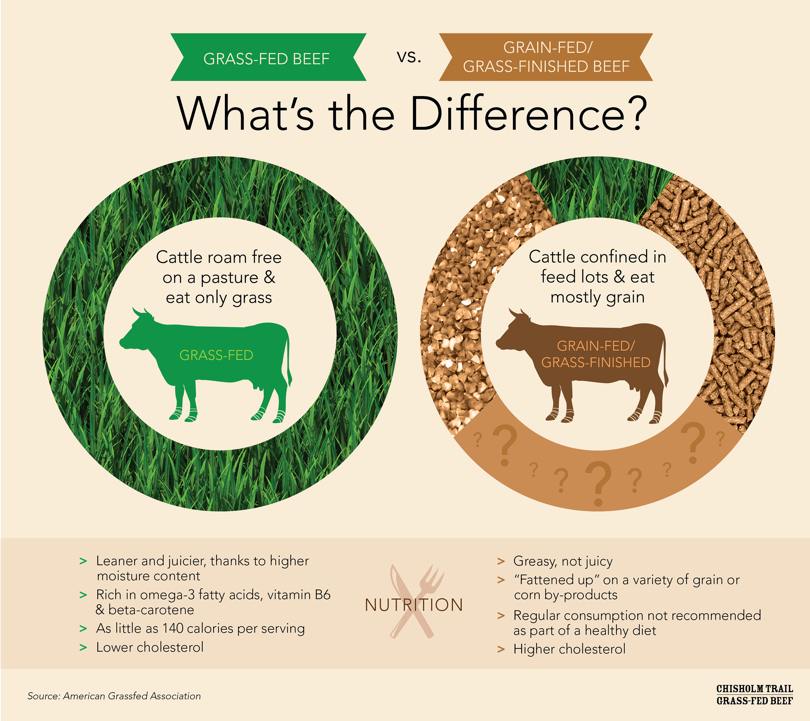 grass feb beef vs grain fed beef