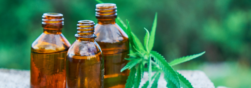 cbd oil
