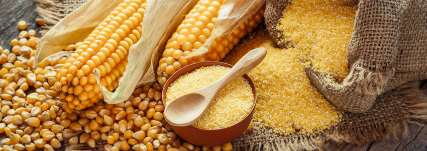 Lara’s Quick Gluten-free Corn Bread