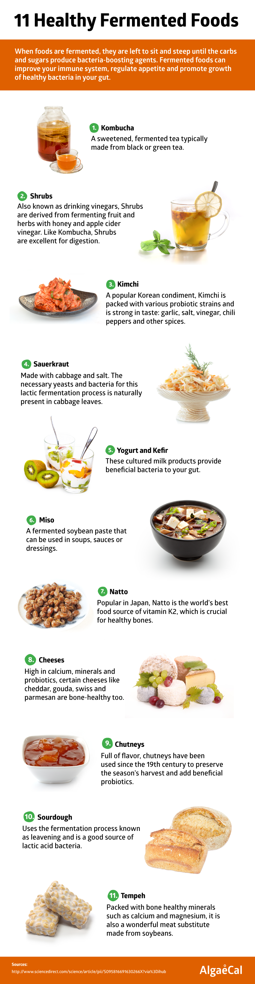 11 fermented foods infographic