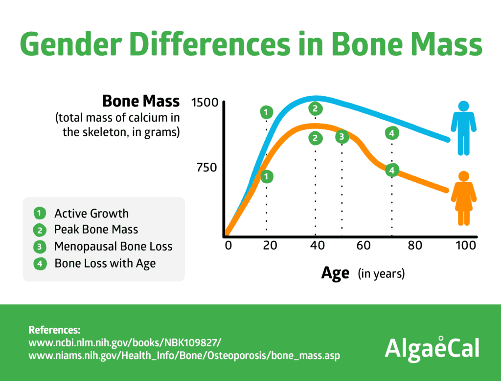 gender differences in bone mass