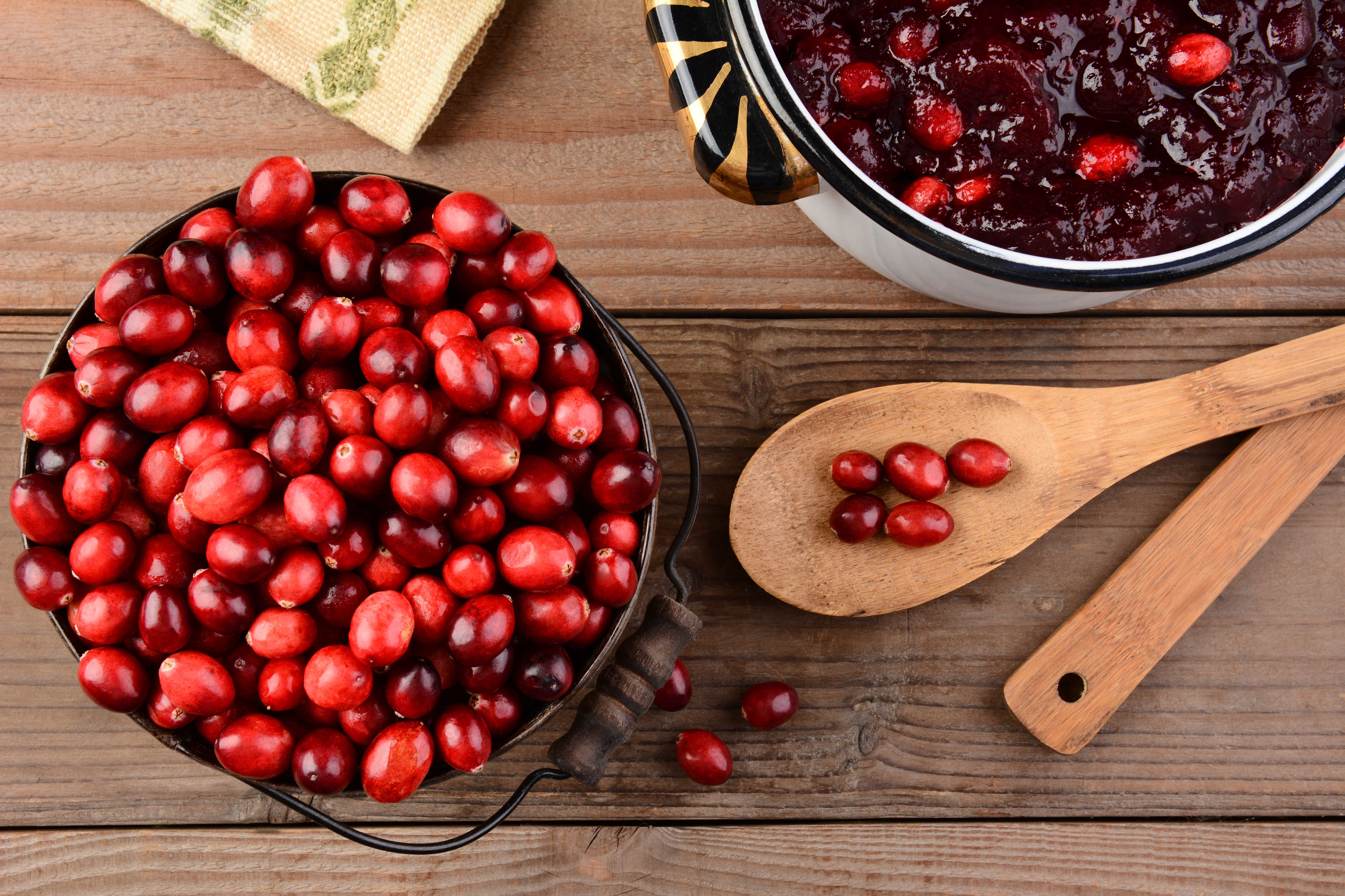 Cranberries and sauce
