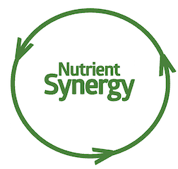 nutrient synergy