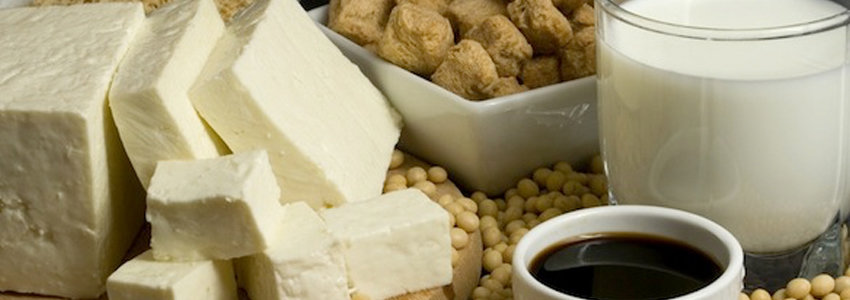 Tofu soybeans and milk
