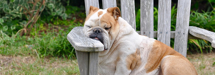 Bad Habits - Lack of Sleep